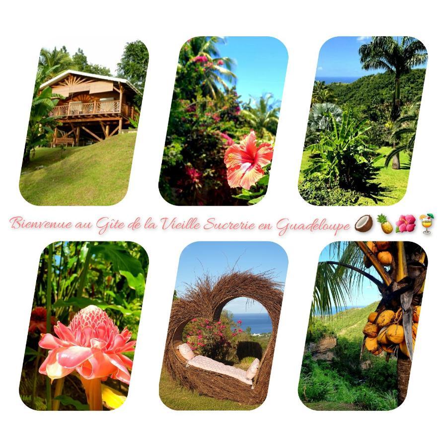 Gîte 4 étoiles, la Vieille Sucrerie St Claude Guadeloupe, Jacuzzi Spa privatif, vue exceptionnelle sur la mer des Caraïbes Basse-Terre Exterior foto